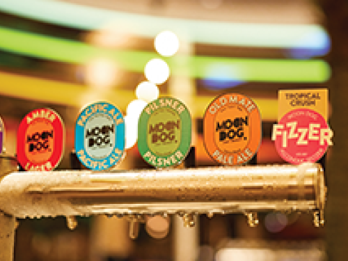 colourful tap decals on cold beer tap